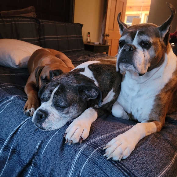 Meet your Posher, Carrie - Picture 2 of 2